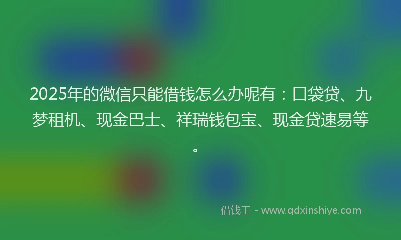 2025年的微信只能借钱怎么办呢有：口袋贷、九梦租机、现金巴士、祥瑞钱包宝、现金贷速易等。