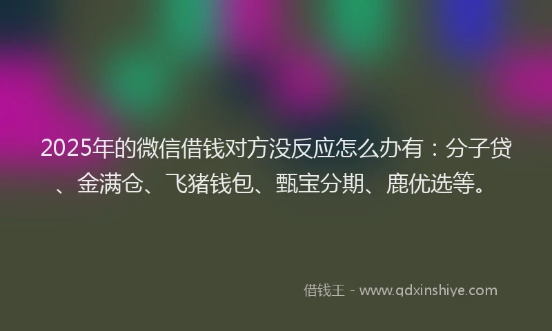 2025年的微信借钱对方没反应怎么办有：分子贷、金满仓、飞猪钱包、甄宝分期、鹿优选等。