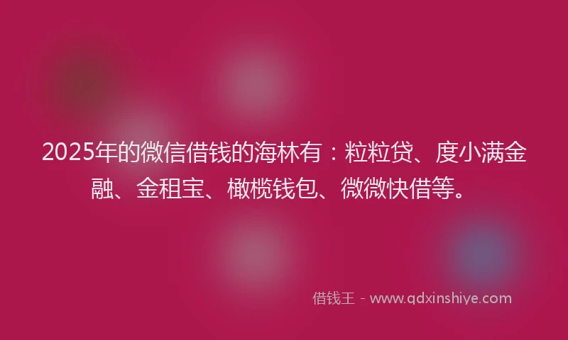2025年的微信借钱的海林有：粒粒贷、度小满金融、金租宝、橄榄钱包、微微快借等。