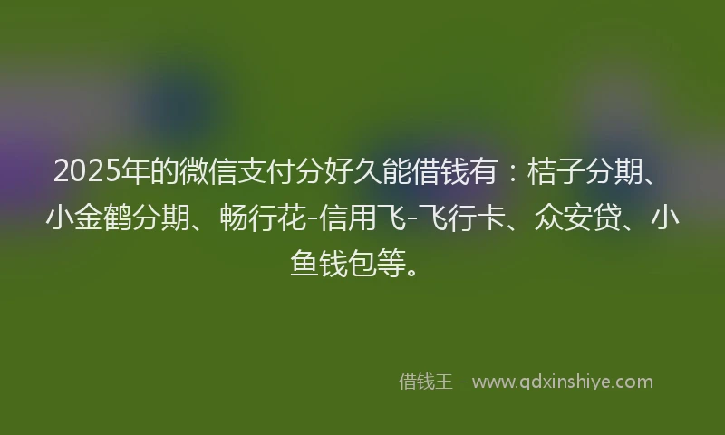 2025年的微信支付分好久能借钱有：桔子分期、小金鹤分期、畅行花-信用飞-飞行卡、众安贷、小鱼钱包等。
