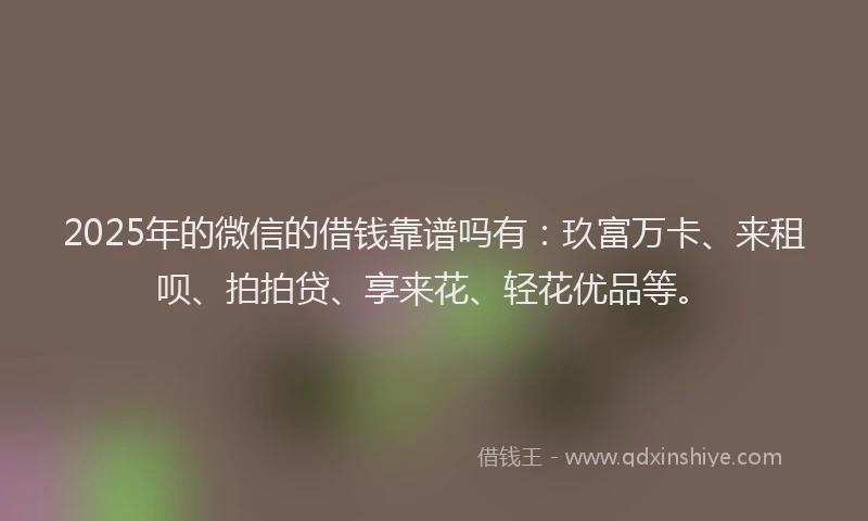 2025年的微信的借钱靠谱吗有：玖富万卡、来租呗、拍拍贷、享来花、轻花优品等。