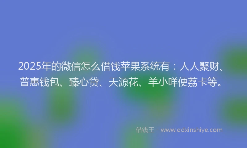 2025年的微信怎么借钱苹果系统有：人人聚财、普惠钱包、臻心贷、天源花、羊小咩便荔卡等。