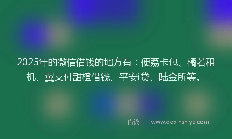 2025年的微信借钱的地方有：便荔卡包、橘若租机、翼支付甜橙借钱、平安i贷、陆金所等。