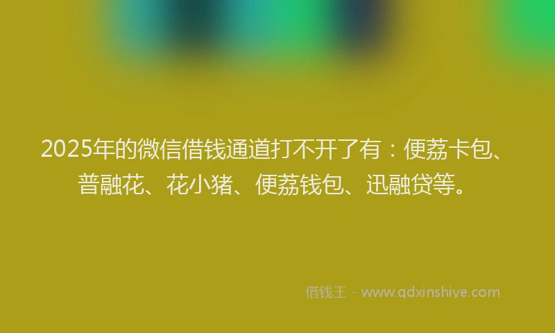 2025年的微信借钱通道打不开了有：便荔卡包、普融花、花小猪、便荔钱包、迅融贷等。