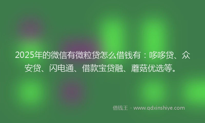 2025年的微信有微粒贷怎么借钱有：哆哆贷、众安贷、闪电通、借款宝贷融、蘑菇优选等。