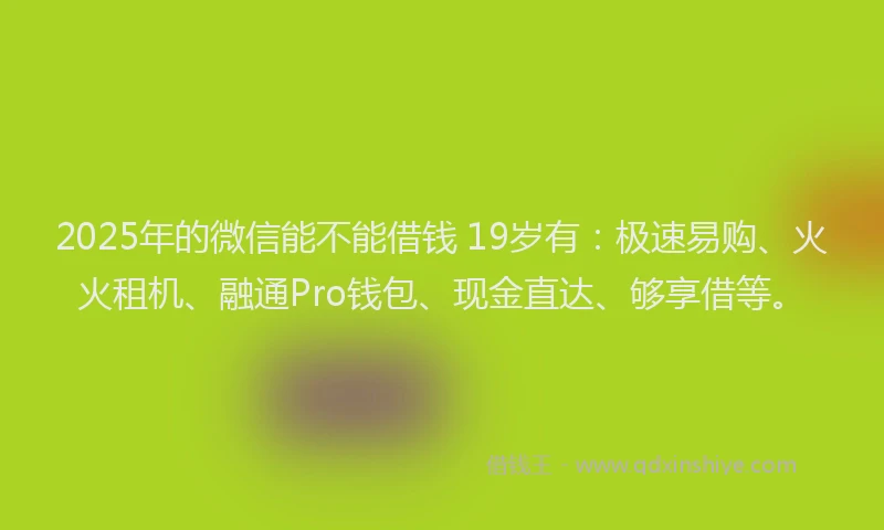 2025年的微信能不能借钱 19岁有：极速易购、火火租机、融通Pro钱包、现金直达、够享借等。