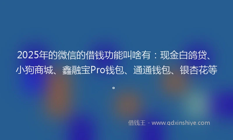 2025年的微信的借钱功能叫啥有：现金白鸽贷、小狗商城、鑫融宝Pro钱包、通通钱包、银杏花等。