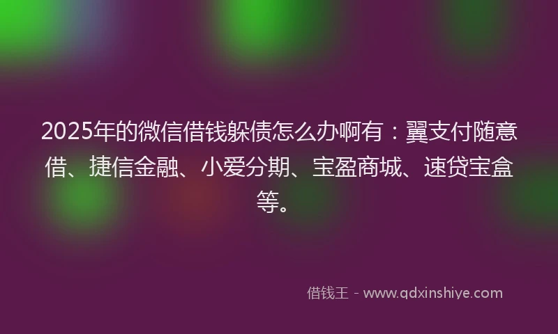 2025年的微信借钱躲债怎么办啊有：翼支付随意借、捷信金融、小爱分期、宝盈商城、速贷宝盒等。