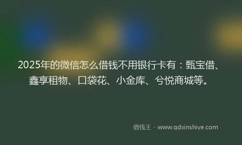 2025年的微信怎么借钱不用银行卡有：甄宝借、鑫享租物、口袋花、小金库、兮悦商城等。