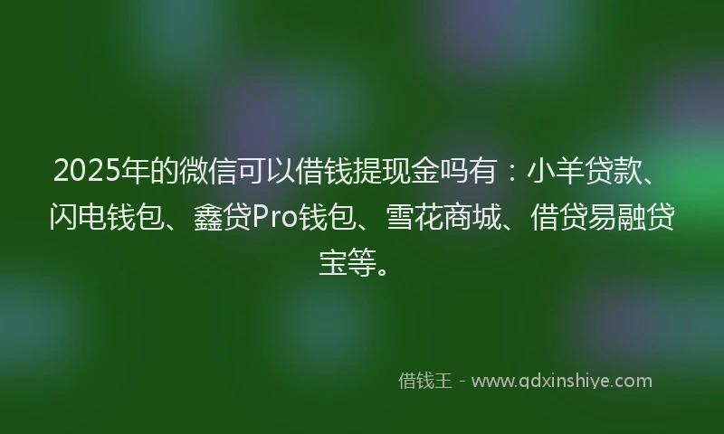 2025年的微信可以借钱提现金吗有：小羊贷款、闪电钱包、鑫贷Pro钱包、雪花商城、借贷易融贷宝等。