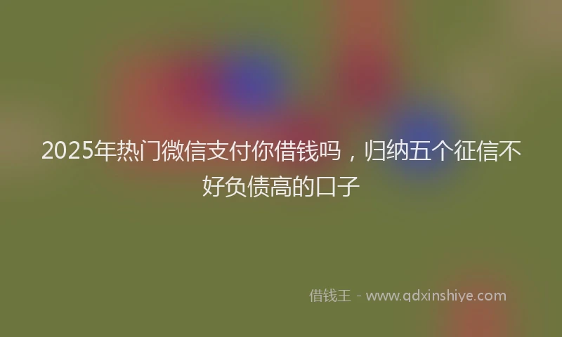 2025年热门微信支付你借钱吗，归纳五个征信不好负债高的口子