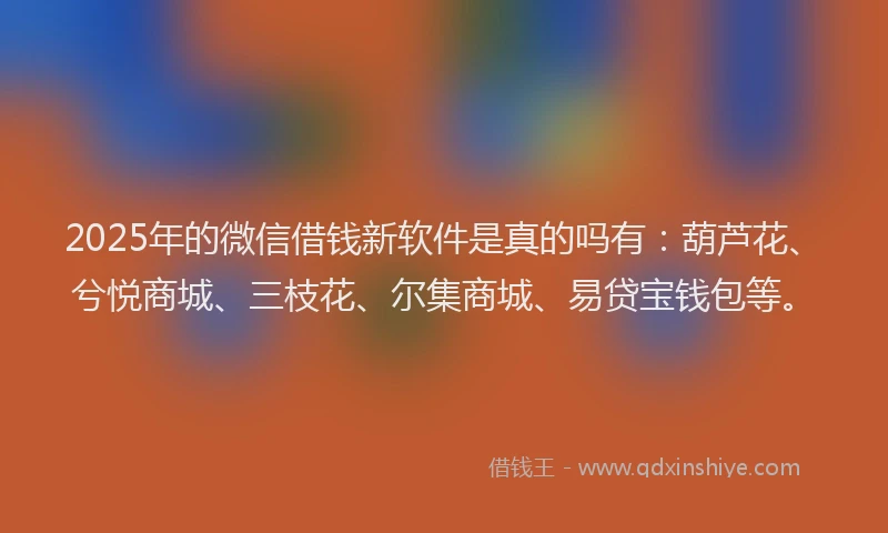 2025年的微信借钱新软件是真的吗有：葫芦花、兮悦商城、三枝花、尔集商城、易贷宝钱包等。
