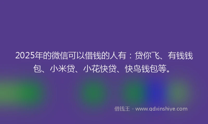2025年的微信可以借钱的人有：贷你飞、有钱钱包、小米贷、小花快贷、快鸟钱包等。