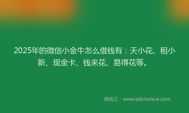 2025年的微信小金牛怎么借钱有：天小花、租小新、现金卡、钱来花、易得花等。