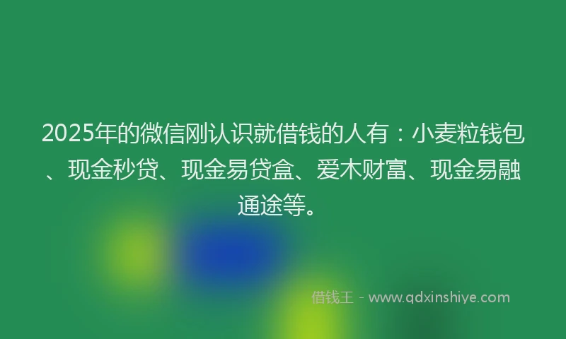 2025年的微信刚认识就借钱的人有：小麦粒钱包、现金秒贷、现金易贷盒、爱木财富、现金易融通途等。