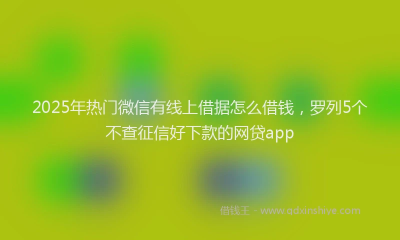 2025年热门微信有线上借据怎么借钱，罗列5个不查征信好下款的网贷app
