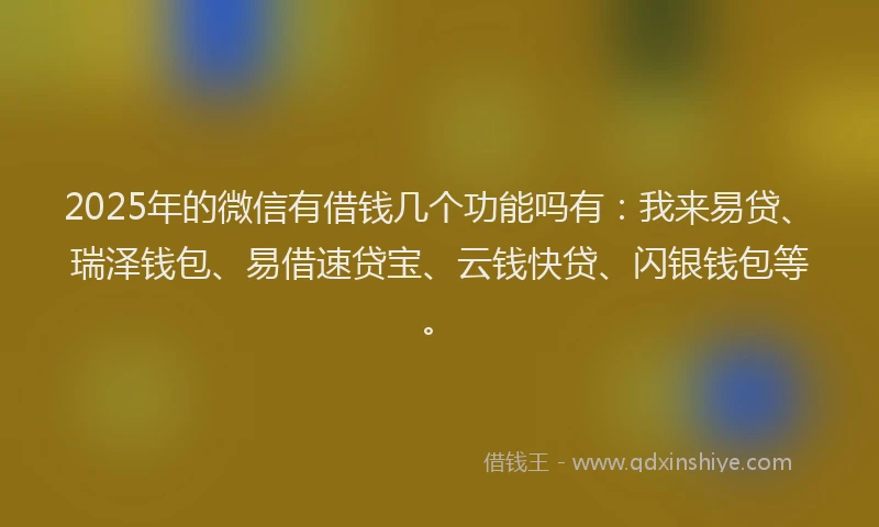 2025年的微信有借钱几个功能吗有：我来易贷、瑞泽钱包、易借速贷宝、云钱快贷、闪银钱包等。
