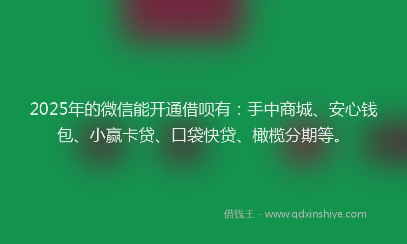 2025年的微信能开通借呗有：手中商城、安心钱包、小赢卡贷、口袋快贷、橄榄分期等。