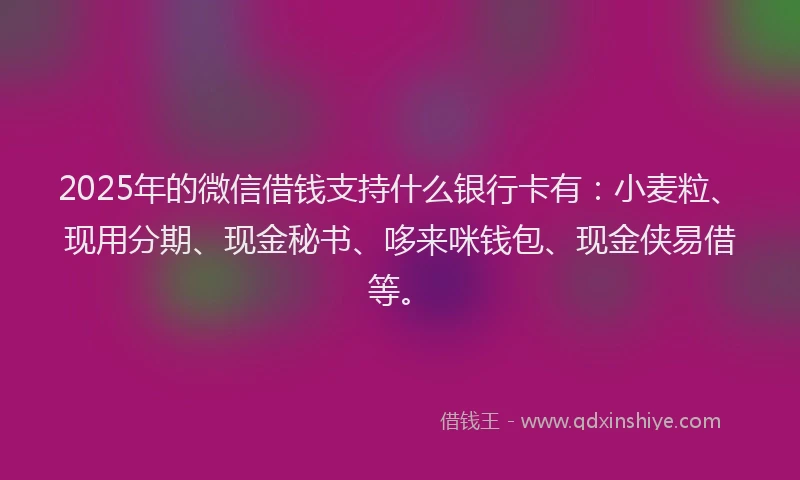 2025年的微信借钱支持什么银行卡有：小麦粒、现用分期、现金秘书、哆来咪钱包、现金侠易借等。
