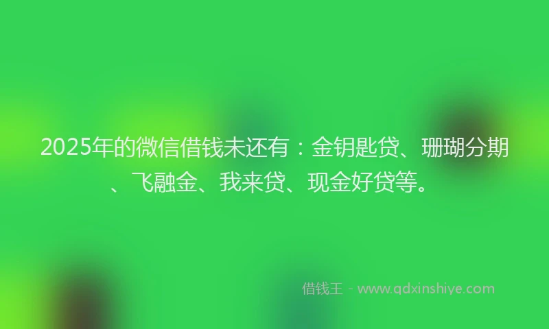 2025年的微信借钱未还有：金钥匙贷、珊瑚分期、飞融金、我来贷、现金好贷等。