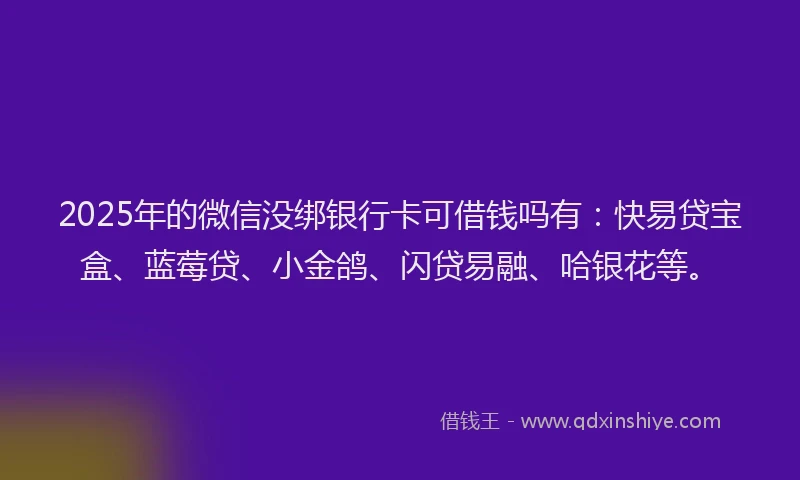 2025年的微信没绑银行卡可借钱吗有：快易贷宝盒、蓝莓贷、小金鸽、闪贷易融、哈银花等。
