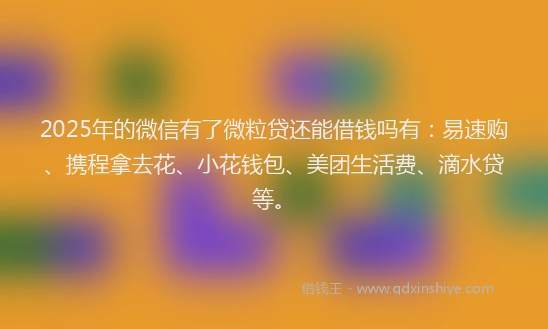 2025年的微信有了微粒贷还能借钱吗有：易速购、携程拿去花、小花钱包、美团生活费、滴水贷等。