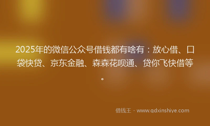 2025年的微信公众号借钱都有啥有：放心借、口袋快贷、京东金融、森森花呗通、贷你飞快借等。
