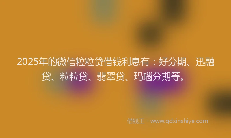 2025年的微信粒粒贷借钱利息有：好分期、迅融贷、粒粒贷、翡翠贷、玛瑙分期等。