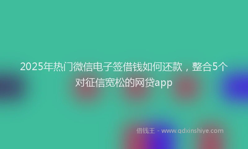 2025年热门微信电子签借钱如何还款，整合5个对征信宽松的网贷app
