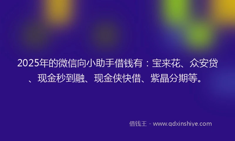 2025年的微信向小助手借钱有：宝来花、众安贷、现金秒到融、现金侠快借、紫晶分期等。
