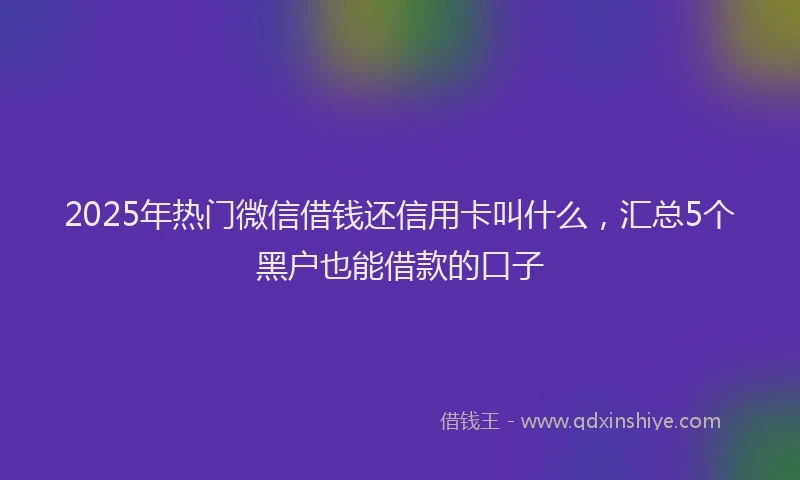 2025年热门微信借钱还信用卡叫什么，汇总5个黑户也能借款的口子