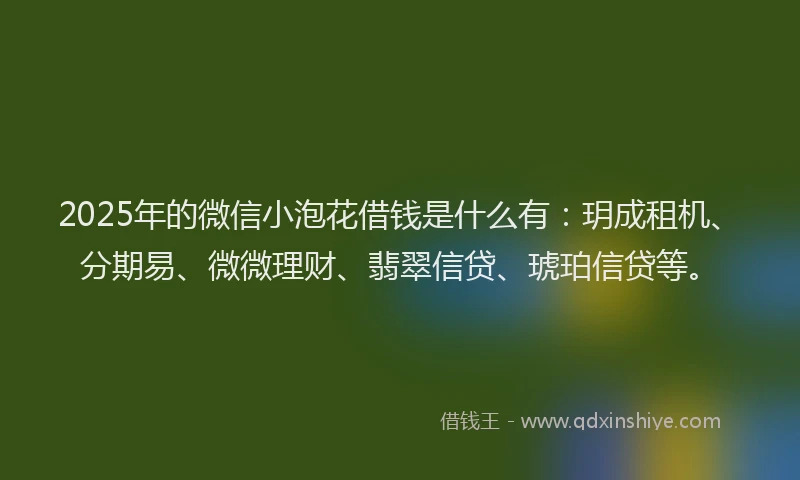 2025年的微信小泡花借钱是什么有：玥成租机、分期易、微微理财、翡翠信贷、琥珀信贷等。