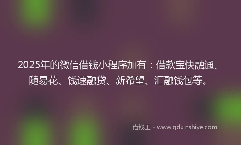 2025年的微信借钱小程序加有：借款宝快融通、随易花、钱速融贷、新希望、汇融钱包等。