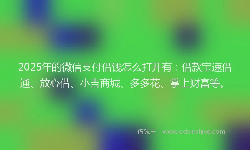 2025年的微信支付借钱怎么打开有：借款宝速借通、放心借、小吉商城、多多花、掌上财富等。