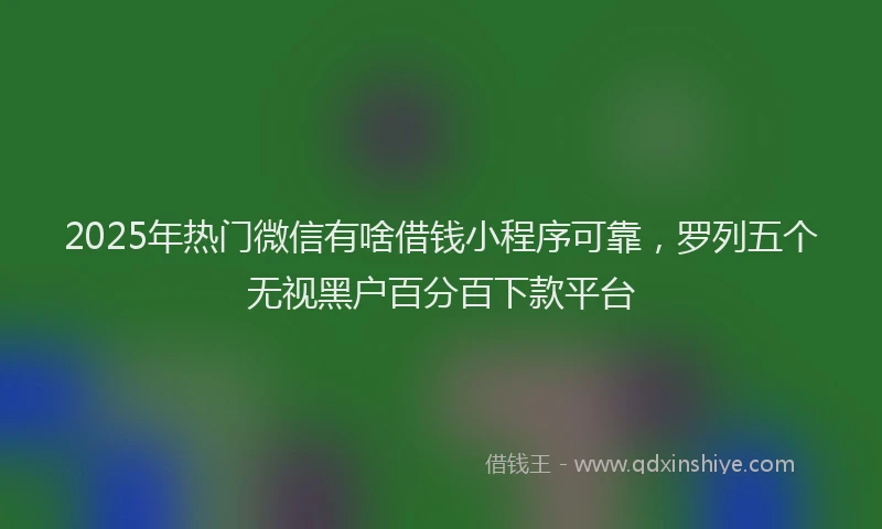 2025年热门微信有啥借钱小程序可靠，罗列五个无视黑户百分百下款平台