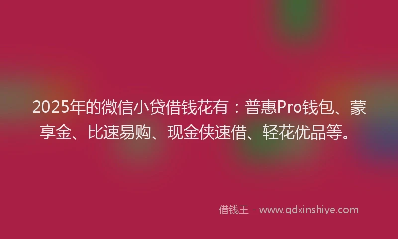 2025年的微信小贷借钱花有：普惠Pro钱包、蒙享金、比速易购、现金侠速借、轻花优品等。