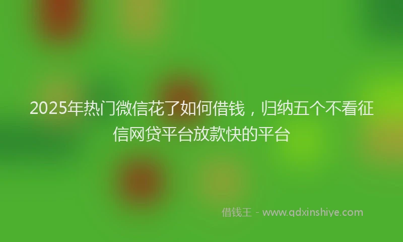 2025年热门微信花了如何借钱，归纳五个不看征信网贷平台放款快的平台