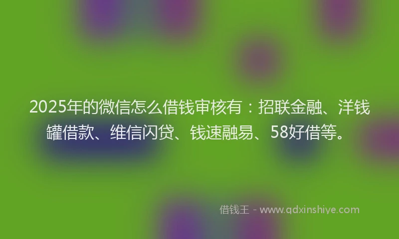 2025年的微信怎么借钱审核有：招联金融、洋钱罐借款、维信闪贷、钱速融易、58好借等。