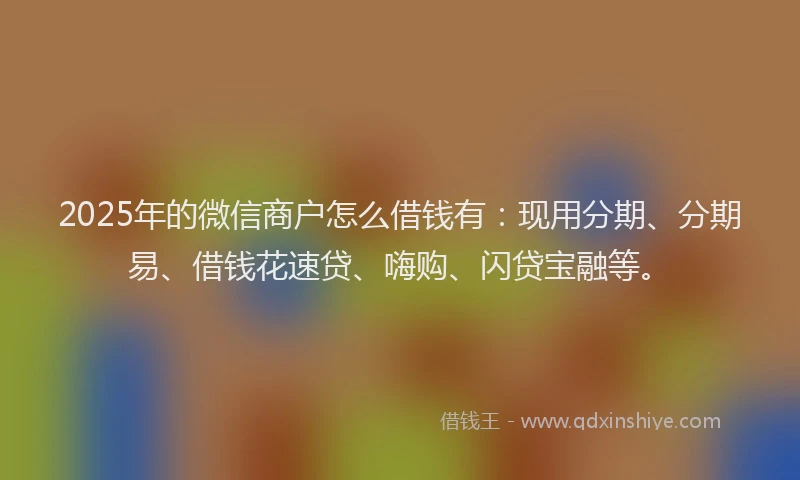 2025年的微信商户怎么借钱有：现用分期、分期易、借钱花速贷、嗨购、闪贷宝融等。