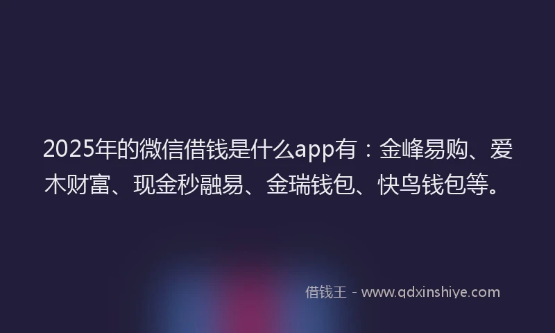 2025年的微信借钱是什么app有：金峰易购、爱木财富、现金秒融易、金瑞钱包、快鸟钱包等。