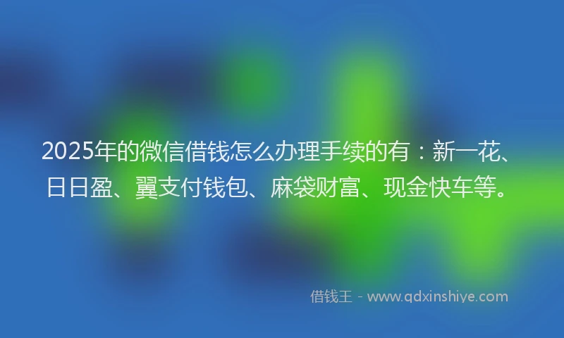 2025年的微信借钱怎么办理手续的有：新一花、日日盈、翼支付钱包、麻袋财富、现金快车等。