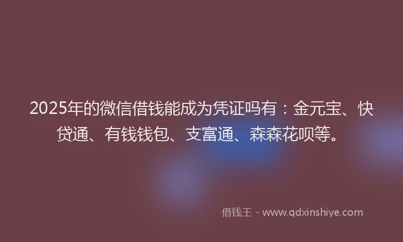 2025年的微信借钱能成为凭证吗有：金元宝、快贷通、有钱钱包、支富通、森森花呗等。