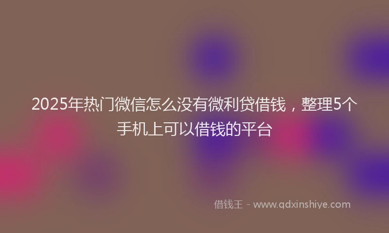 2025年热门微信怎么没有微利贷借钱，整理5个手机上可以借钱的平台
