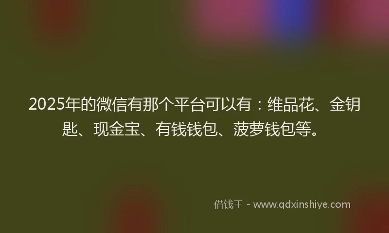 2025年的微信有那个平台可以有：维品花、金钥匙、现金宝、有钱钱包、菠萝钱包等。