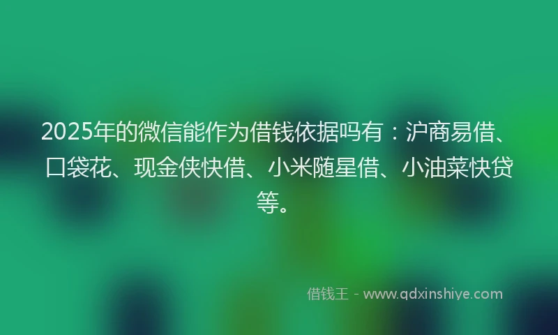 2025年的微信能作为借钱依据吗有：沪商易借、口袋花、现金侠快借、小米随星借、小油菜快贷等。