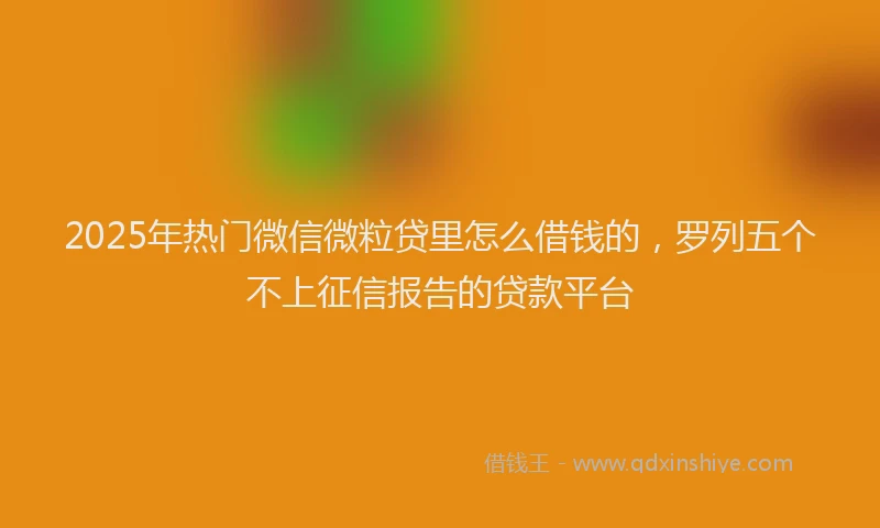2025年热门微信微粒贷里怎么借钱的，罗列五个不上征信报告的贷款平台