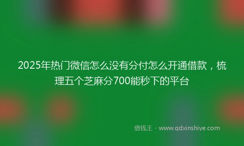 2025年热门微信怎么没有分付怎么开通借款，梳理五个芝麻分700能秒下的平台