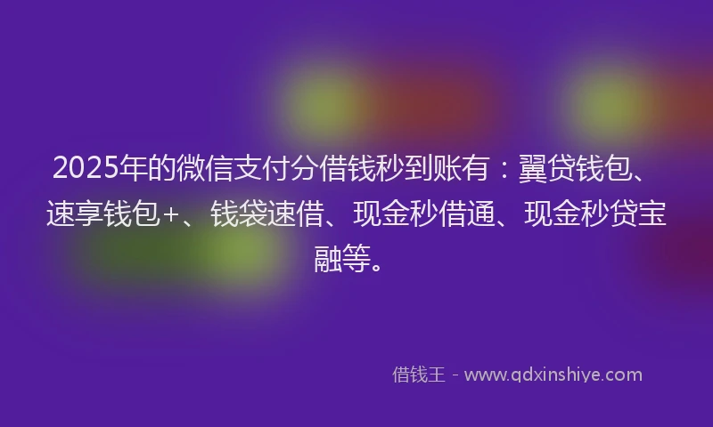 2025年的微信支付分借钱秒到账有：翼贷钱包、速享钱包+、钱袋速借、现金秒借通、现金秒贷宝融等。