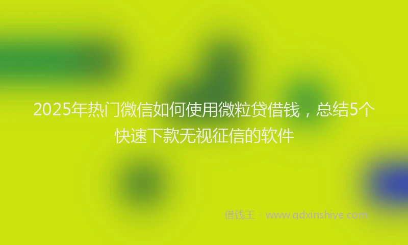 2025年热门微信如何使用微粒贷借钱，总结5个快速下款无视征信的软件