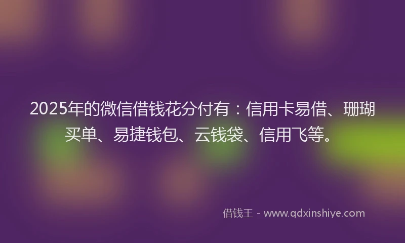 2025年的微信借钱花分付有：信用卡易借、珊瑚买单、易捷钱包、云钱袋、信用飞等。
